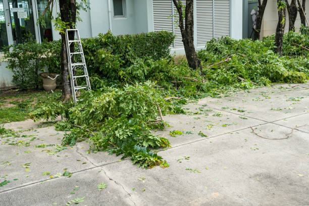 Why Choose Our Tree Removal Services in Columbia, PA?